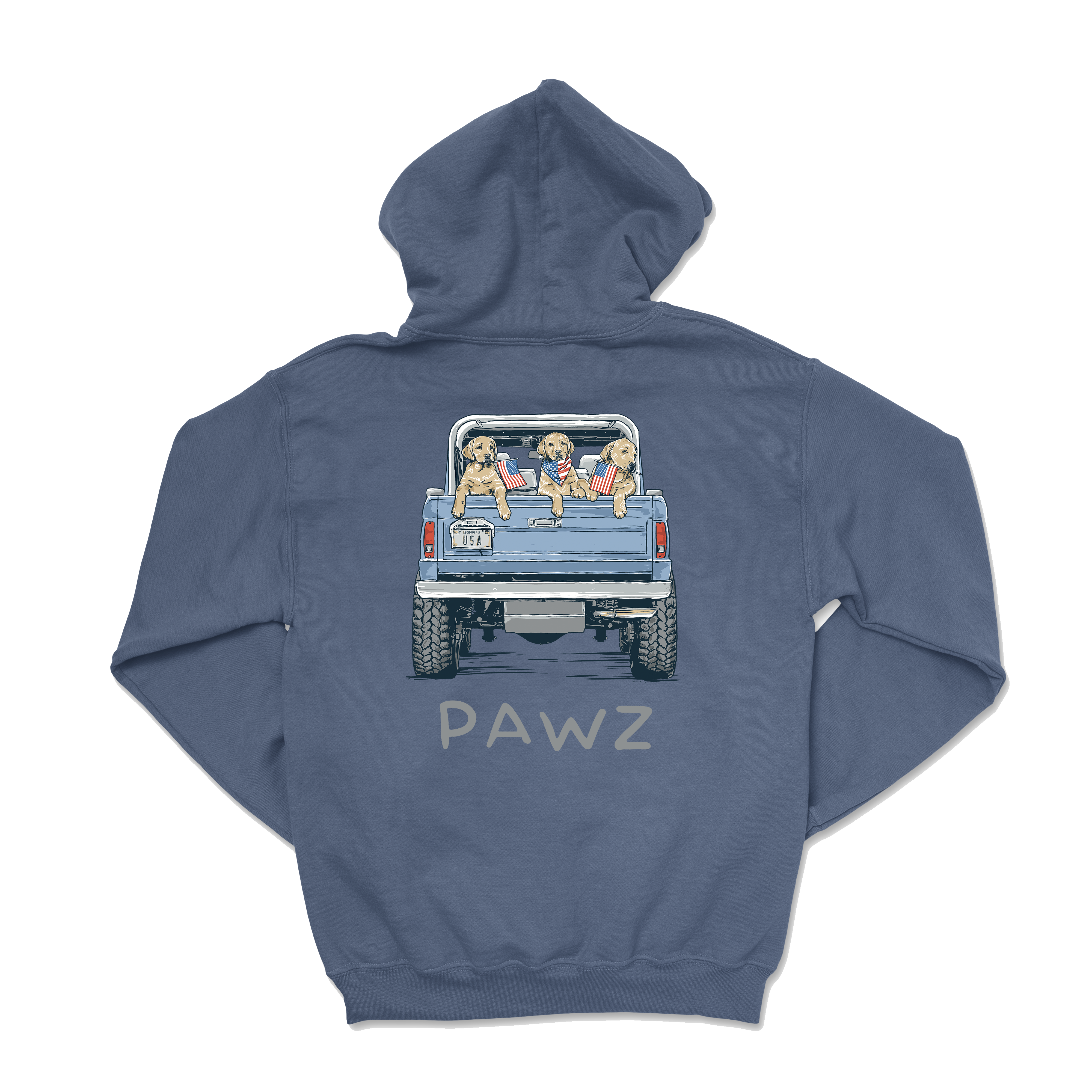 USA Cruiser (Adult Hoodie)